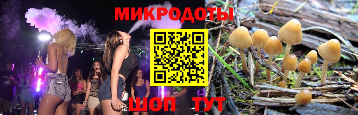 Псилоцибиновые грибы Psilocybe  Вход с VPN  магазин продажи наркотиков  Кохма 